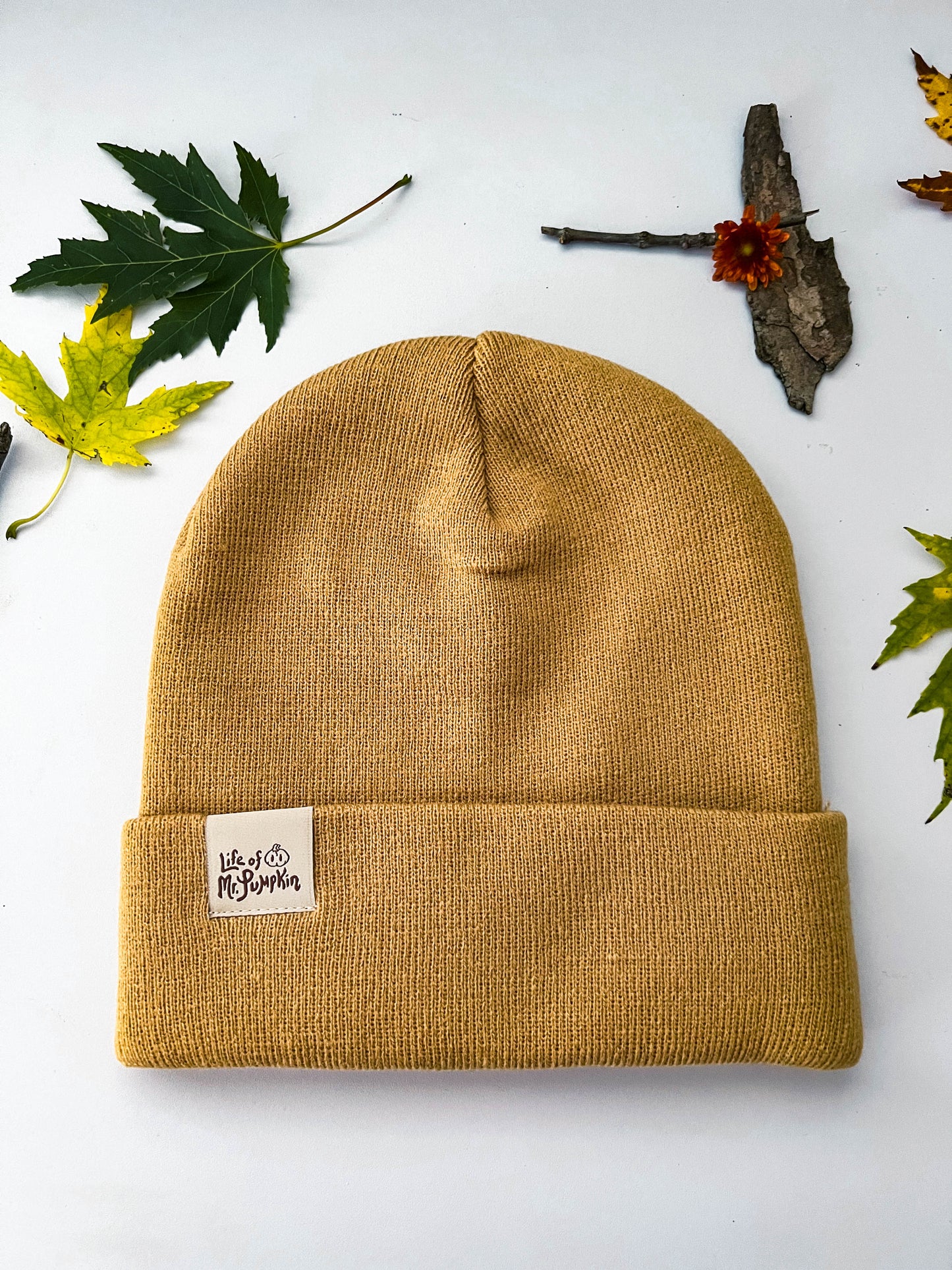 The back of the light brown pumpkin beanie has a cream tag that says, "Life of Mr. Pumpkin." Leaves are scattered around the beanie.