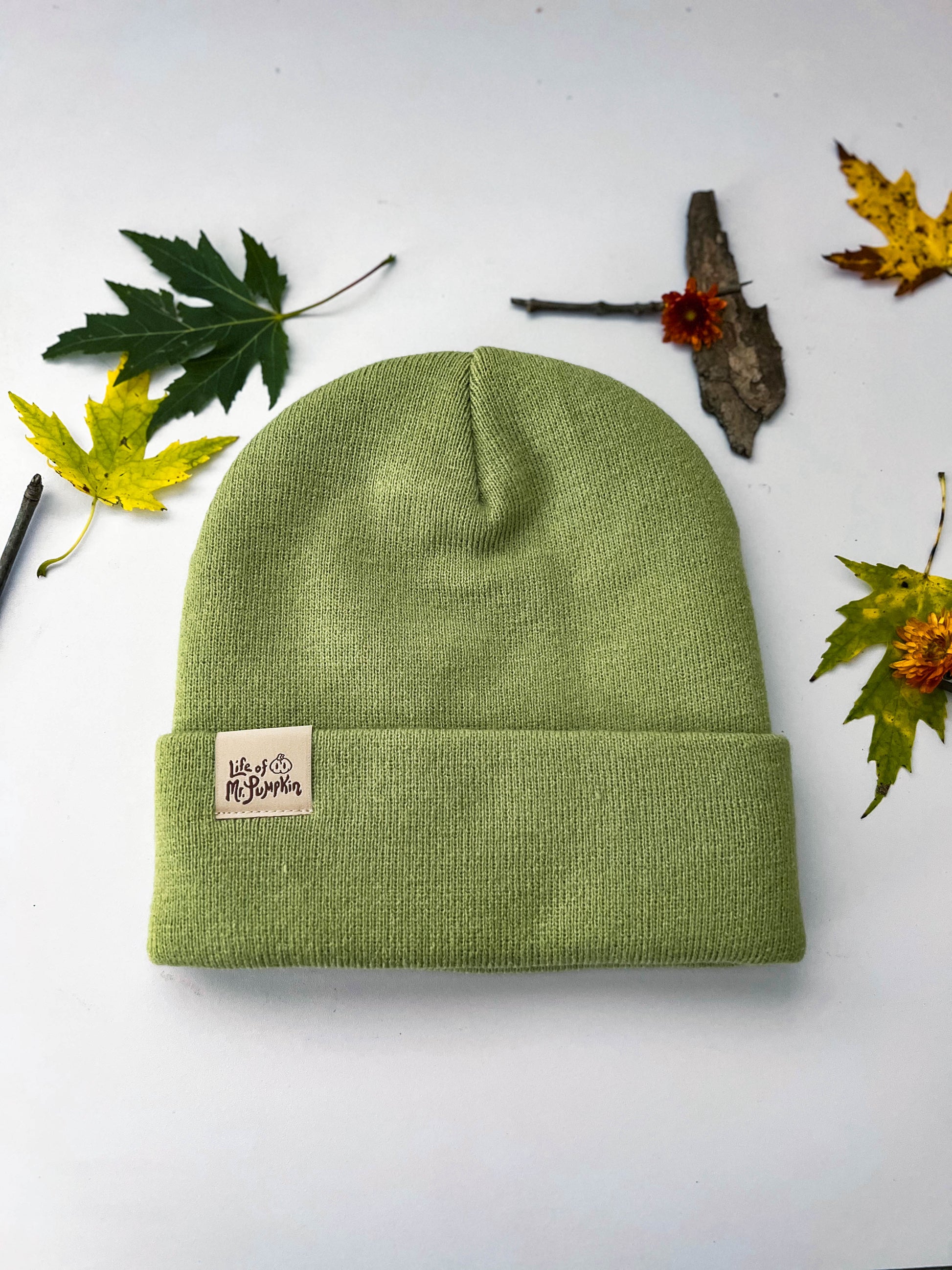 The back of the light green ramen beanie has a cream tag that says, "Life of Mr. Pumpkin." Leaves are scattered around the beanie.